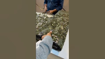 Very beautiful imported net hand embroidery fabric with stunning sequins work 🎀🎀🌸✨