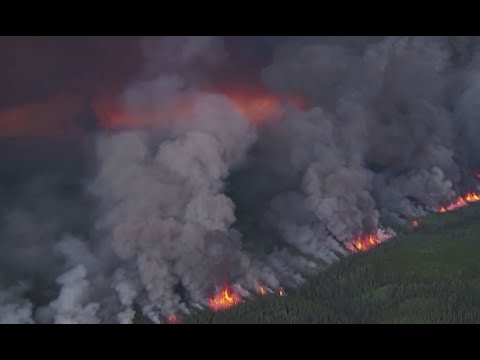 Лесные пожары становятся глобальной угрозой