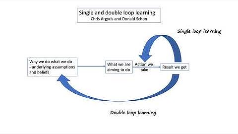 Double loop learning video