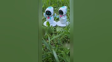 Eilik robots day out  #eilik #eilikrobot #airobot #petrobot #petbot