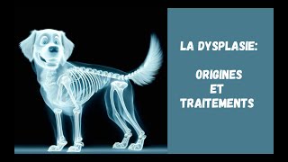 La Dysplasie: Origines et Traitements