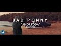 PARODIA amorfoda - Bad Bunny video oficial