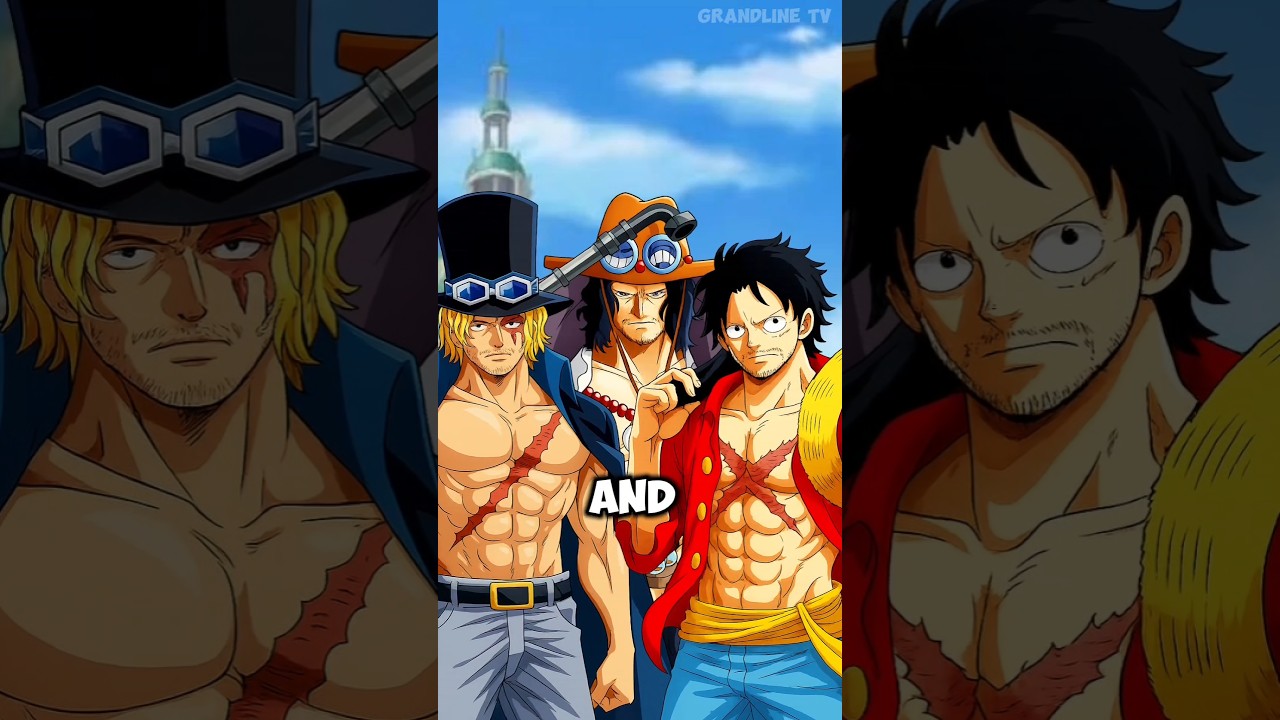 what if Sabo ace and luffy in One crew!? 