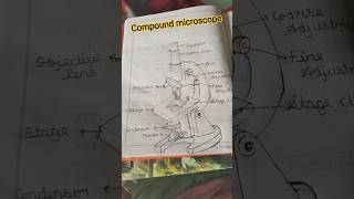 compound microscope drawing with pencil#pencildrawing #science#biology#microscope
