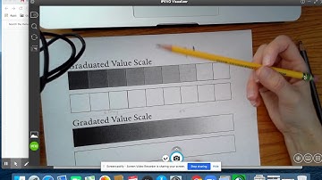Graduated Value Scale