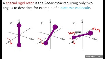 Rigid Rotator Quantum