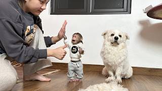 Download Lagu Lala's assistant helps Mom take care of Bon's beauty routine in preparation for the Lunar New Year! MP3