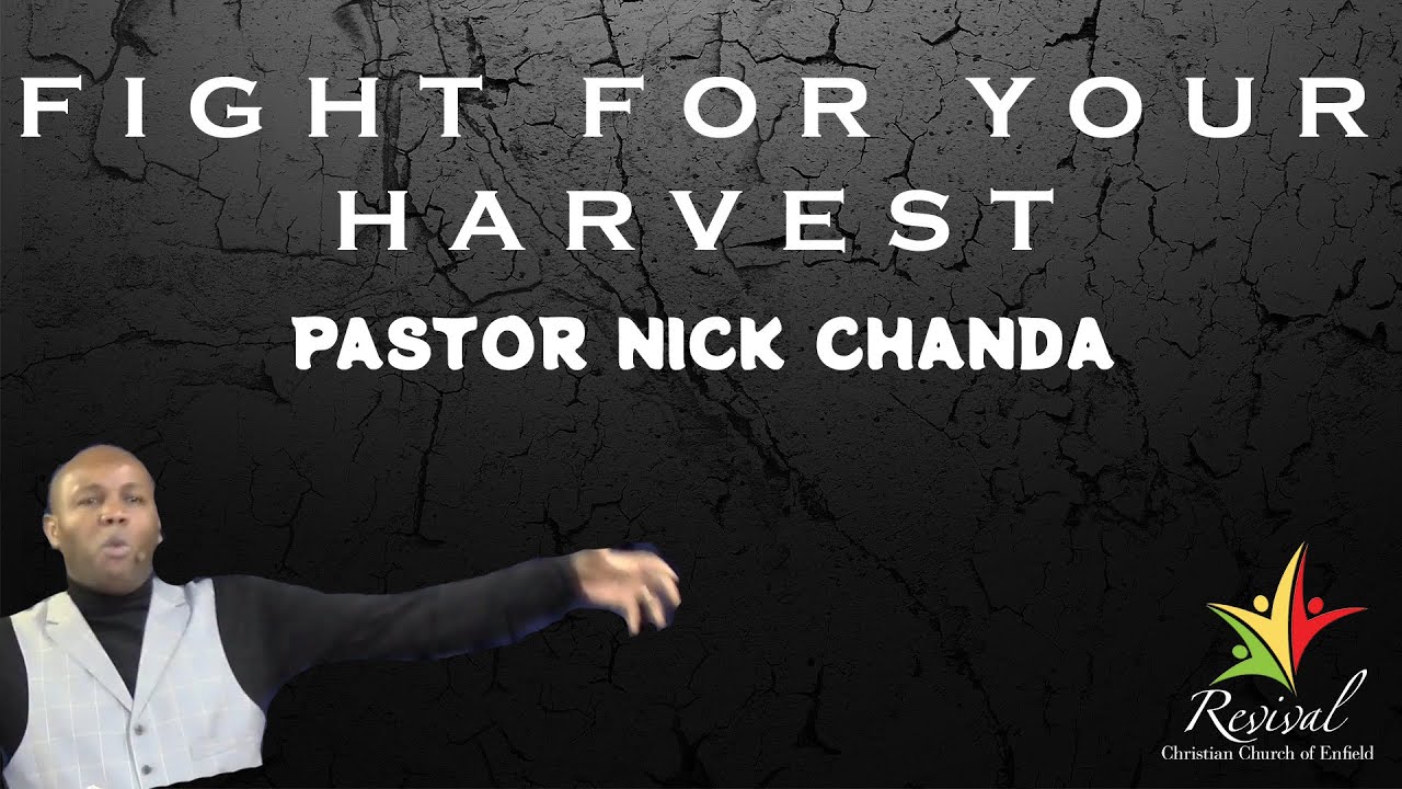 Fight for Your Harvest - Pastor Nick Chanda | 31 January 2021