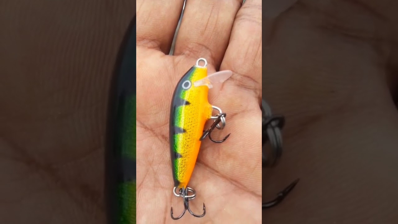 Rapala ultralight lure kerala fishing