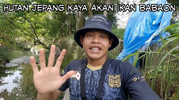 MANTAP❗Mancing di sungai jepang panen ikan besar || JEPANG pt.3