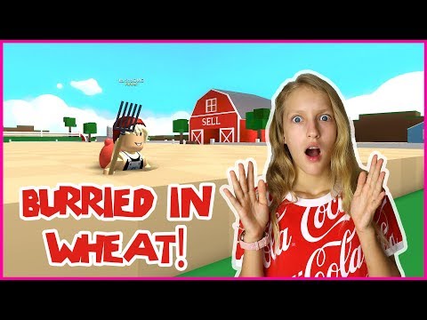 Getting Burried in Wheat!