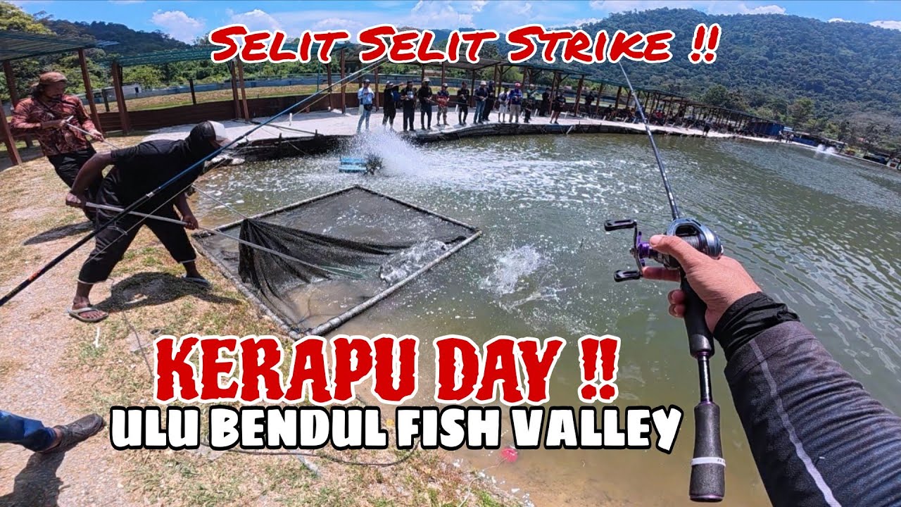 STRIKE 4 SPESIS BERBEZA !! KERAPU DAY KOLAM ULU BENDUL FISH VALLEY || TEKNIK PERAMBUT BOTTOM TOYOL!!
