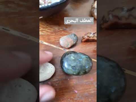 احجار كريمة  عقيق مصر   أحجار عطف بحرى