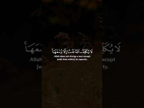 فارس عباد لا يكلف الله نفسا إلا وسعها لها ما كسبت وعليها ما اكتسبت ربنا لا تؤاخذنا إن نسينا