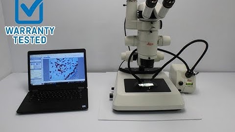 Leica MZ12.5 Stereoscope Stereo Microscope [BOSTONIND] - 44980