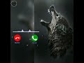 Dangerous wolf ringtone