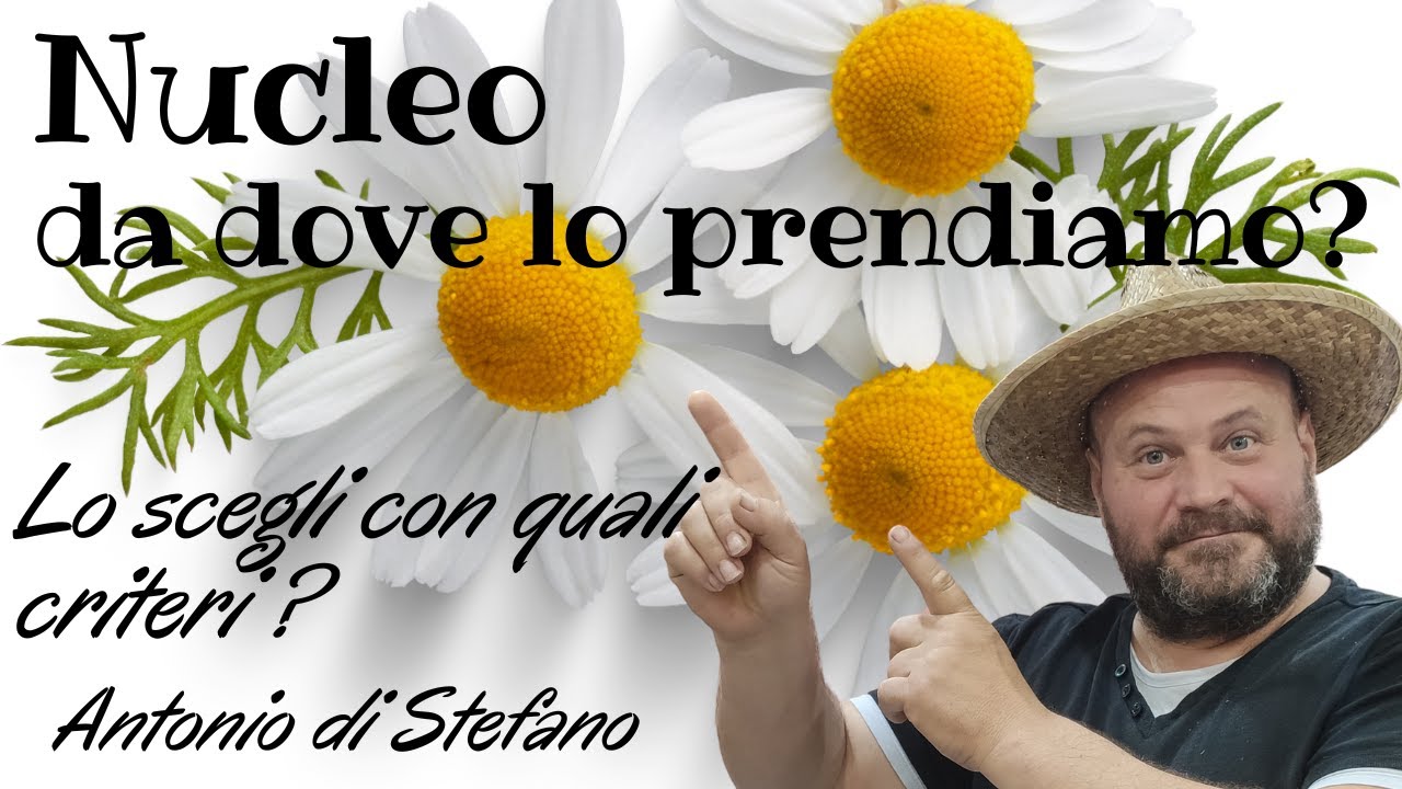 Nucleo nuovo da dove lo prendiamo?Lo scegliamo con quali criteri? Rispondo ad alcune domande VOSTRE!