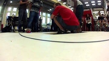 ECE 3873 - Lady Bug Line Followers