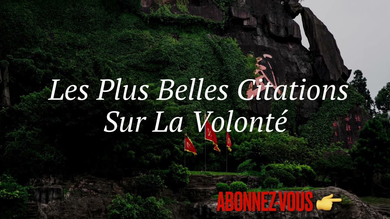 Les Plus Belles Citations Sur La Volonte Youtube