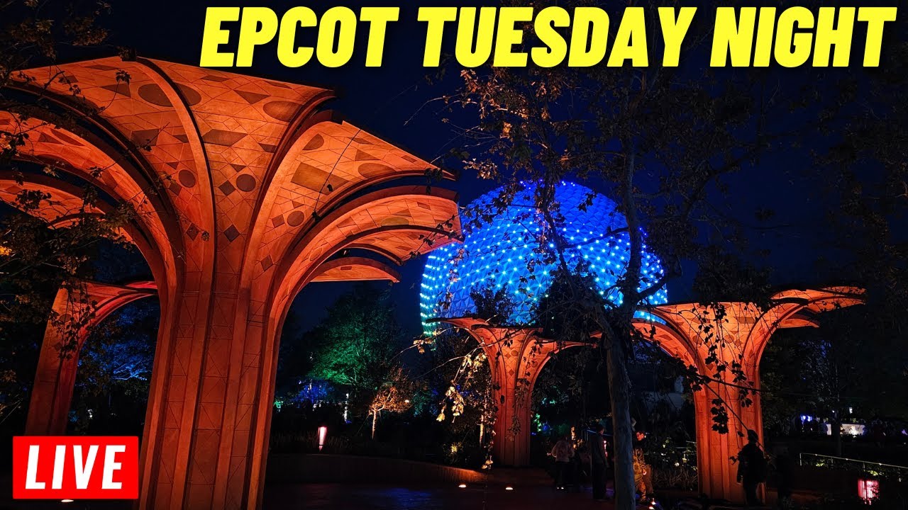 Ремикс enjoy anywhere anytime. Enjoy go live. Beyond live stray kids концерт 2020. Unlock go live in life stray kids фото. Альбом stray kids go.