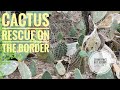 Cactus Rescue Jahb