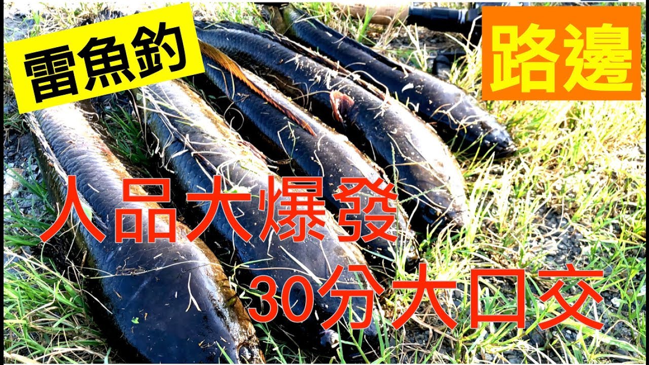 掛底頻頻 只是做了這個動作就釣起破紀錄怪物 路邊 水溝 路亞 波爸釣魚趣 Youtube 掛底頻頻 只是做了這個動作就釣起破紀錄怪物 路邊 水溝 路亞 波爸釣魚趣 Youtube