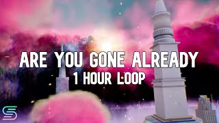 Nicki Minaj - Are You Gone Already [1 Hour Loop]