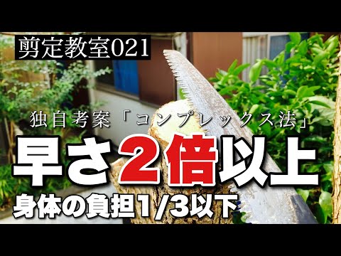 ［必見］剪定鋸(のこぎり)で楽に早く切る方法、基本の使い方「3つ」と倍速の極意「1つ」。剪定教室021、コンプレックス法