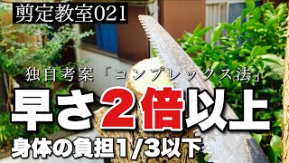 ［必見］剪定鋸(のこぎり)で楽に早く切る方法、基本の使い方「3つ」と倍速の極意「1つ」。剪定教室021、コンプレックス法