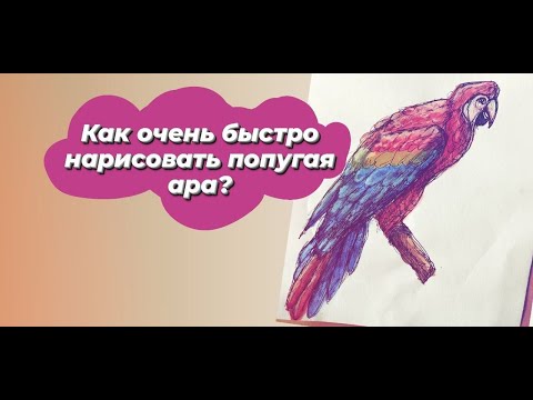 Как нарисовать попугая ара поэтапно ручкой и акварелью