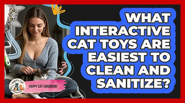 What Interactive Cat Toys Are Easiest To Clean And Sanitize? - Happy Cat Handbook
