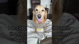 Buddy does it AGAIN  #funnydog #sorrymom #dog #dogcomedy #dogproblems #squirrel #funnydogvideos