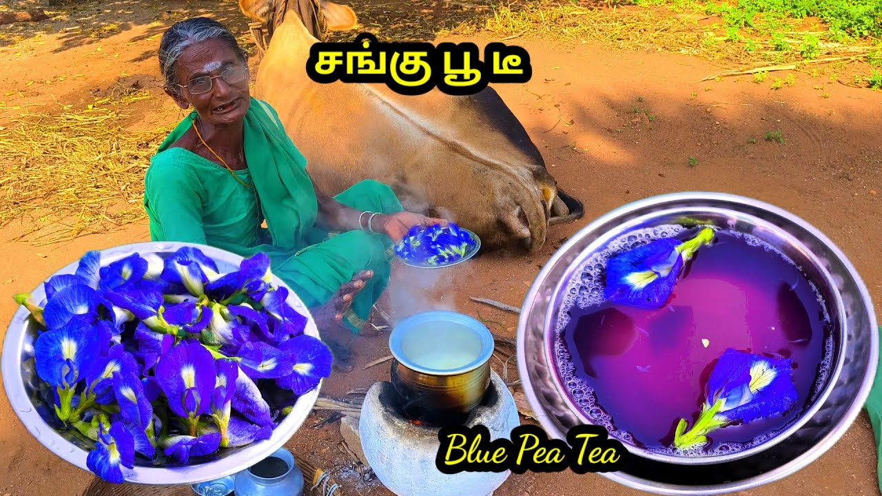 #சங்குப்பூ