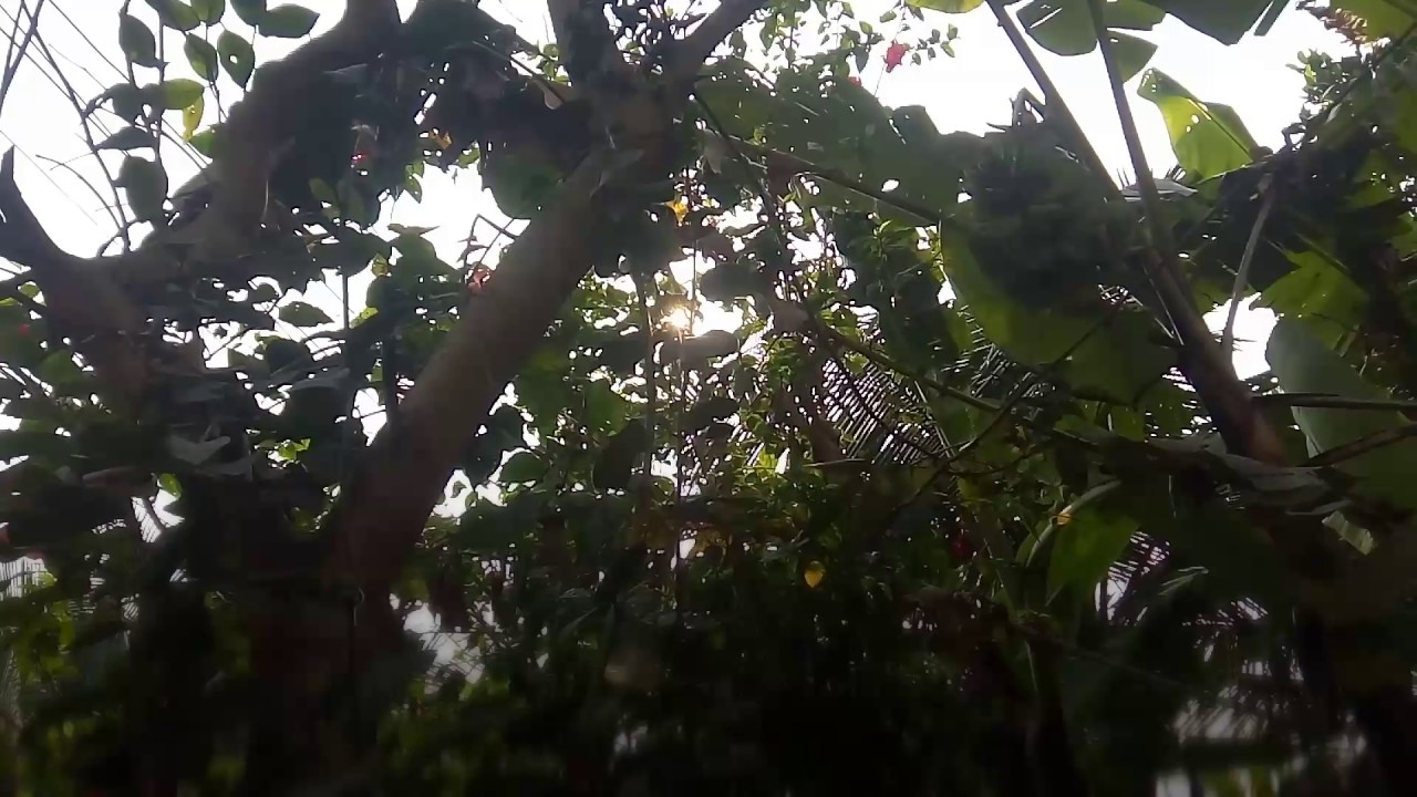 Coolpad Note 3Lite Camera Video Test | Cinema Style | CPN3L Marshmallow