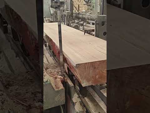 #woodcut #carpentry #woodcuting #cuttingwood #cutting #toolsmachine #woodworking #tool #machine #diy