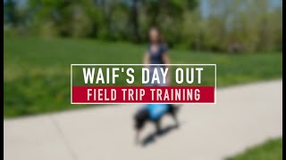 Wayside Waifs Field Trip Training Video