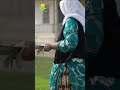       شیرینی حلوایی آبارجن گیلانی شیرینی خونگی 