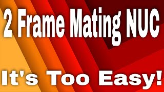 The EASIEST 2-Frame Mating NUC Build Video on Youtube!