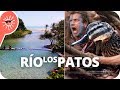 Los Patos: uno de los ríos mas cortos del mundo