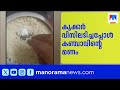 ചോറ് തിളപ്പിച്ച കുക്കറിൽ കഞ്ചാവ് ഒളിപ്പിച്ചു; യുവാവ് പിടിയിൽ | Operation Toofan