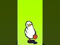 don't be a duck