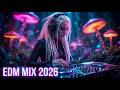 🔥 EDM Dance Festival 2026 – Big Drops &amp; Party Mix