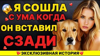 картинка: Моя собака внезапно сделала это со мной посреди ночи