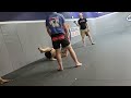 Acadiana Jiujitsu Blurple Belt Invitational
