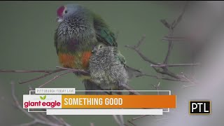 Something Good: National Aviary Welcomes New Babies