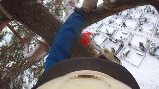 Ошибка арбориста при которой можно остаться без руки