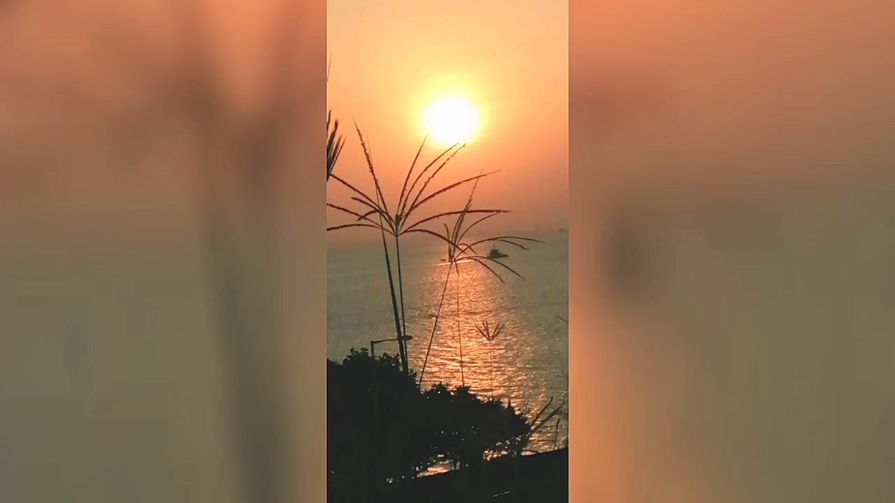 Hong Kong 2019 Sunset Special