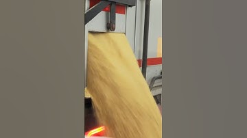 The MIND-BLOWING Journey of Wheat Flour