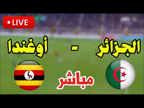 بث مباشر الجزائر أو اوغندا الآن