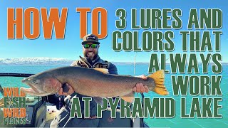 3 lures and colors that ALWAYS work at Pyramid Lake
